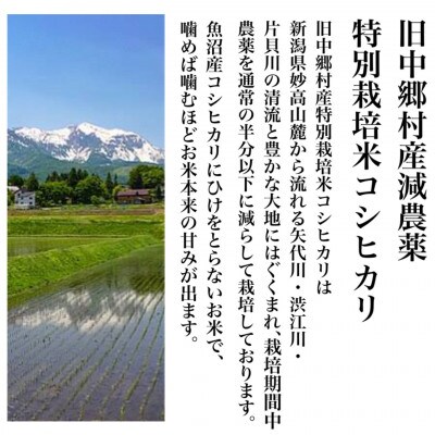 【令和6年産】新潟県旧中郷村 特別栽培米コシヒカリ 10kg