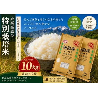 【令和7年産】 新潟県旧中郷村 特別栽培米コシヒカリ 10kg 精米