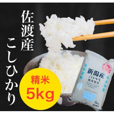 【令和7年産】佐渡地区産コシヒカリ 精米 5kg