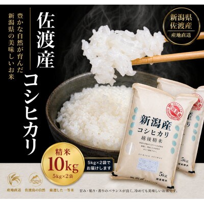 【令和7年産】佐渡地区産コシヒカリ 精米 10kg(5kg×2袋)