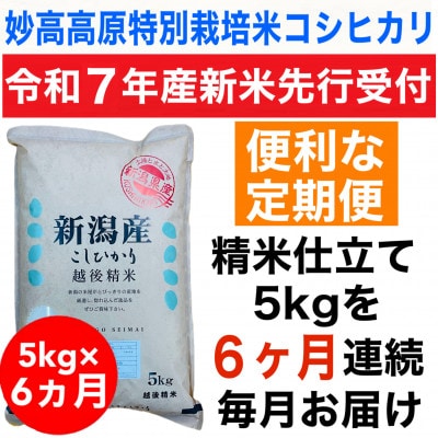 【毎月定期便】新潟県妙高高原特別栽培米コシヒカリ 5kg(5kg×1袋)全6回