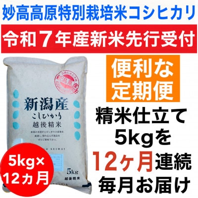 【毎月定期便】新潟県妙高高原特別栽培米コシヒカリ 5kg(5kg×1袋)全12回