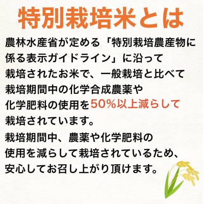 【毎月定期便】新潟県妙高高原特別栽培米コシヒカリ 5kg(5kg×1袋)全12回