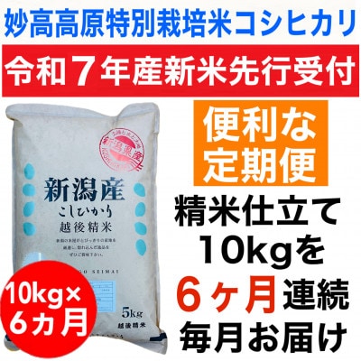 【毎月定期便】新潟県妙高高原特別栽培米コシヒカリ 10kg(5kg×2袋)全6回