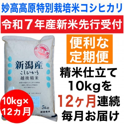 【毎月定期便】新潟県妙高高原特別栽培米コシヒカリ10kg(5kg×2袋)全12回