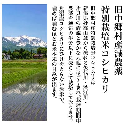 ふるさと納税 新潟県旧中郷村減農薬特別栽培米コシヒカリ 10kg（5kg×2袋） 新潟県 ふるさと納税令和7年度産新米新潟県妙高高原減農薬特別栽培