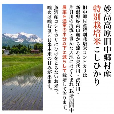 【毎月定期便】新潟県旧中郷村 特別栽培米コシヒカリ 5kg全12回