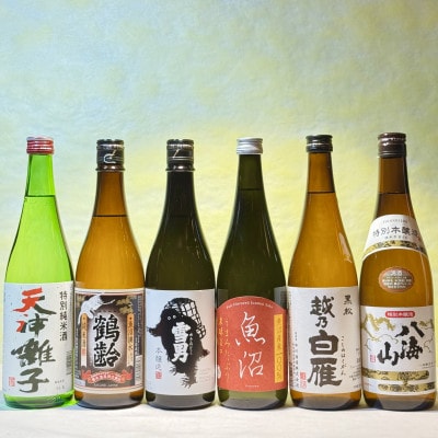 心も温まる雪国越後のお燗酒(720ml×6本)