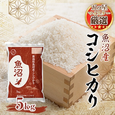【五ッ星マイスター厳選】魚沼産 コシヒカリ 5kg 精米 令和7年産 新潟 魚沼 の お米