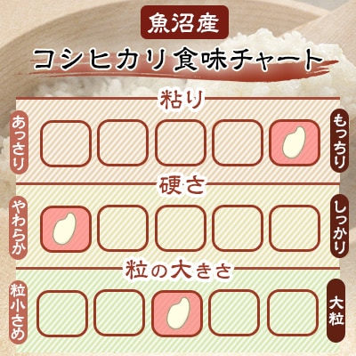 【五ッ星マイスター厳選】魚沼産 コシヒカリ 5kg 精米 令和7年産 新潟 魚沼 の お米