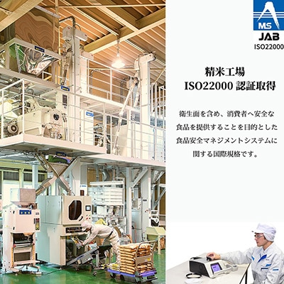 【五ッ星マイスター厳選】新潟 岩船産 コシヒカリ 10kg(5kg×2) 精米 令和7年産 お米