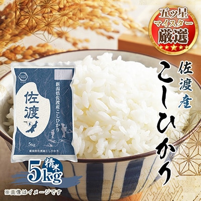 R7年産　五ッ星マイスター厳選　佐渡産こしひかり　5kg