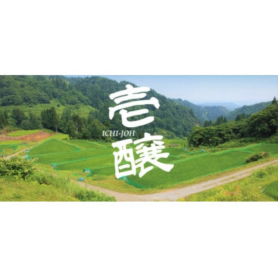 新潟県限定　壱醸　純米吟醸　無濾過原酒　720ml