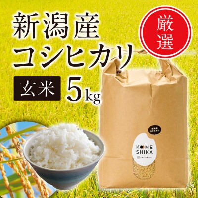 【令和5年産】新潟産コシヒカリ 玄米5kg