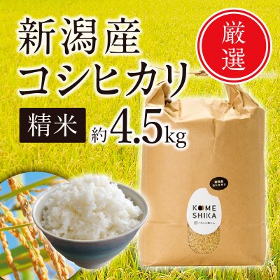 【令和5年産】新潟産コシヒカリ 精米約4.5kg 精米したてをお届け