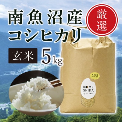 【令和5年産】南魚沼産コシヒカリ 玄米5kg