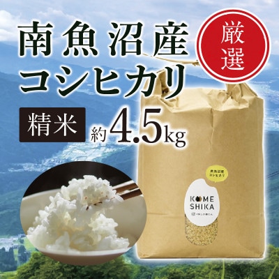 【令和5年産】南魚沼産コシヒカリ 精米約4.5kg 精米したてをお届け