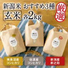 令和5年産[おすすめ3種]玄米各2kg 南魚沼産コシヒカリ・佐渡産コシヒカリ・新潟産新之助