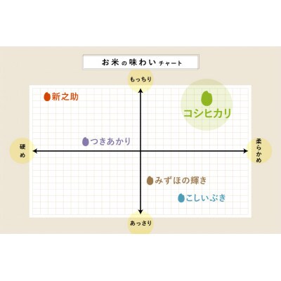 令和5年産【コシヒカリ3種】南魚沼コシヒカリ・佐渡コシヒカリ・新潟コシヒカリ 精米各1.8kg