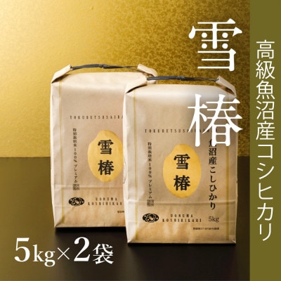 高級中魚沼産コシヒカリ「雪椿」10kg(5kg×2袋)　特別栽培米