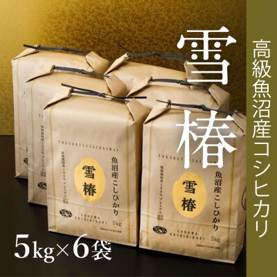 【令和8年産 コシヒカリ 先行予約】高級魚沼産コシヒカリ「雪椿」精米30kg(5kg×6袋)一括発送
