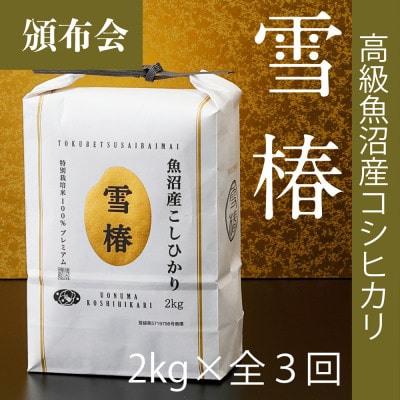 【毎月定期便】高級魚沼産コシヒカリ「雪椿」精米 2kg(2kg×1袋) 特別栽培米全3回