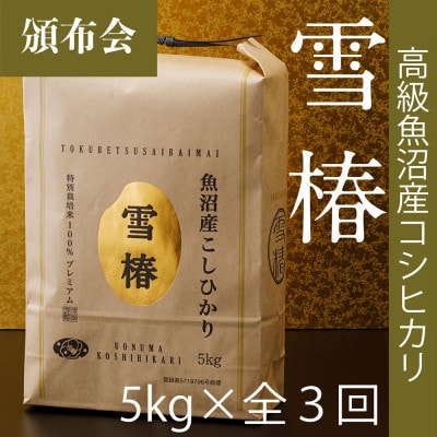 【毎月定期便】高級魚沼産コシヒカリ「雪椿」精米 5kg(5kg×1袋) 特別栽培米全3回