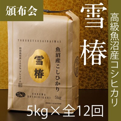 【毎月定期便】高級魚沼産コシヒカリ「雪椿」精米 5kg(5kg×1袋) 特別栽培米全12回
