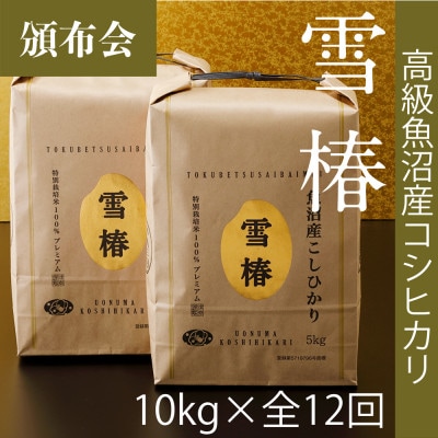 【毎月定期便】高級魚沼産コシヒカリ「雪椿」精米 10kg(5kg×2袋) 特別栽培米全12回