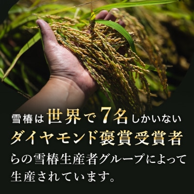 【毎月定期便】高級魚沼産コシヒカリ「雪椿」精米 2kg(2kg×1袋) 特別栽培米全3回