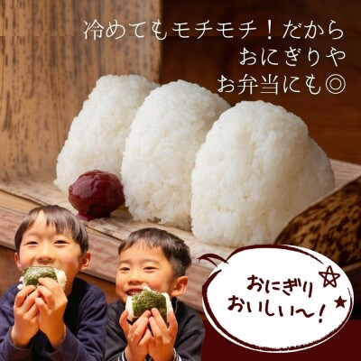堆肥で育てた 新潟産こしひかり 5kg