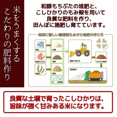 堆肥で育てた 新潟産こしひかり 5kg