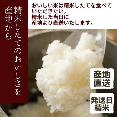 堆肥で育てた 新潟産こしひかり 10kg