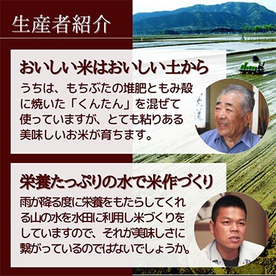 【毎月定期便】堆肥で育てた・新潟県産コシヒカリ10kg×6か月連続お届け全6回
