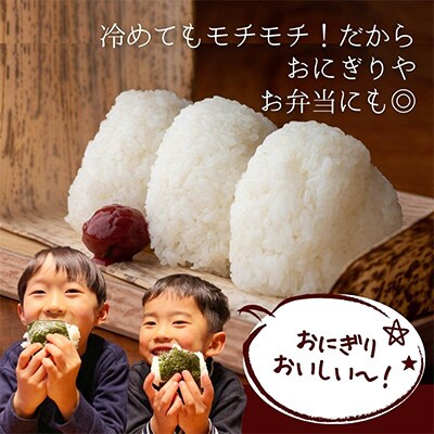 【毎月定期便】堆肥で育てた・新潟県産コシヒカリ10kg×6か月連続お届け全6回