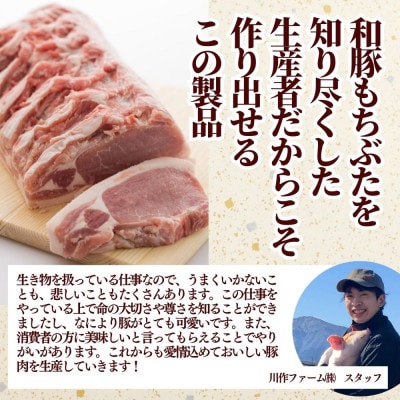越後もちぶた(新潟県産 和豚もちぶた) まんぷくセット