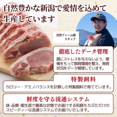 越後もちぶた(新潟県産 和豚もちぶた) ローススライス 1kg
