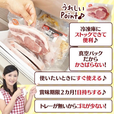 越後もちぶた(新潟県産和豚もちぶた) 上ロースステーキ 4枚
