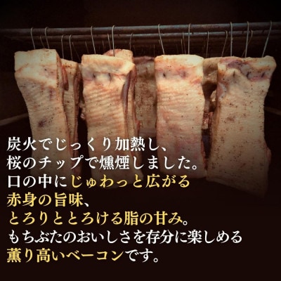越後もちぶた(新潟県産和豚もちぶた) バラベーコンブロック 1kg