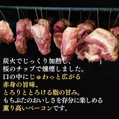 越後もちぶた(新潟県産和豚もちぶた) バラとショルダー2種のベーコンセット 600g