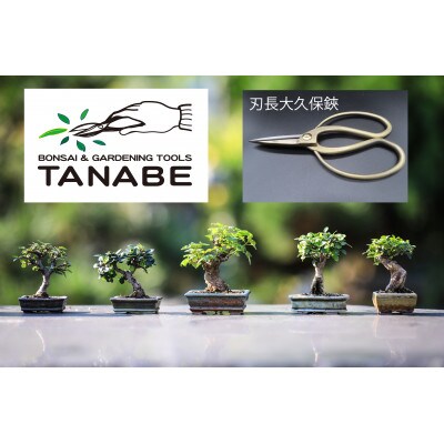 刃長大久保鋏 ブロンズ/Bronze long blade gardening scissors