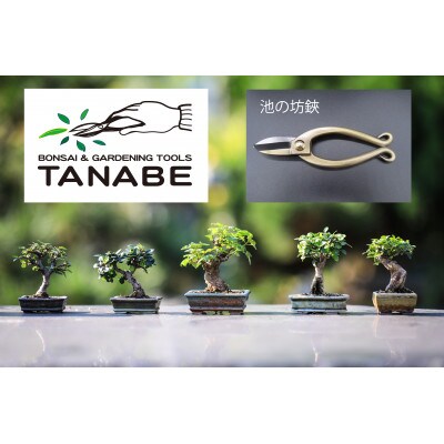 池の坊鋏 ブロンズ/Bronze flower scissors 「type IKENOBOU」