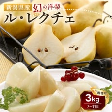 梨 パスクラサン 4玉入り(西洋梨) 岡山県 赤磐市赤坂産[NO5765