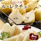 【2025年先行受付】新潟県産　幻の西洋梨　ル・レクチェ　贈答用4kg　12月上旬より順次出荷開始