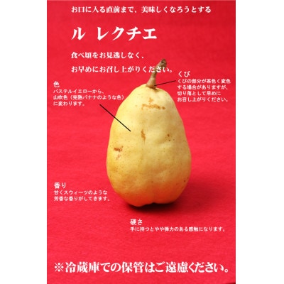 【2025年先行受付】新潟県産　幻の西洋梨　ル・レクチェ　贈答用4kg　12月上旬より順次出荷開始