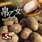 【2025年先行受付】新潟県五泉市産 ブランド里芋「帛乙女」約5kg 11月上旬より出荷予定