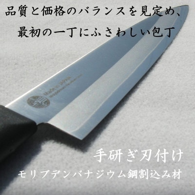 ナガオ ペティナイフ 刃渡り 140mm モリブデンバナジウム鋼