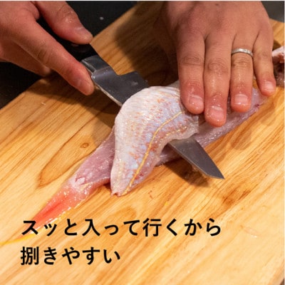 ナガオ 魚さばき包丁 小 刃渡り145mm モリブデンバナジウム鋼 片刃 右手用