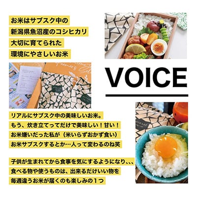 【毎週定期便】【週替わりで楽しむ】栽培期間中農薬・化学肥料不使用 コシヒカリ3合×2袋(玄米)全6回