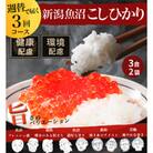 【毎週定期便】【週替わりで楽しむ】栽培期間中農薬・化学肥料不使用コシヒカリ 3合×2袋(白米)全3回